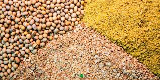 Feed Production